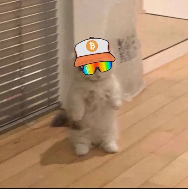 bitcoin btc
