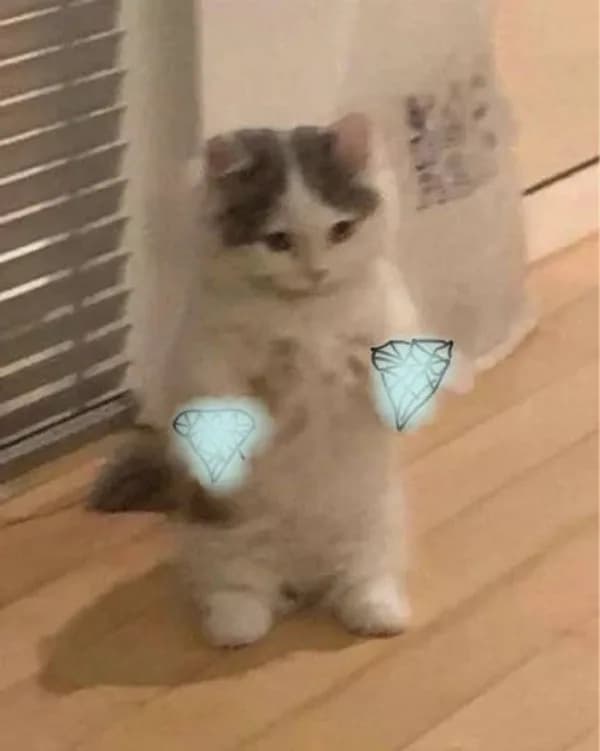 diamond hands hodl