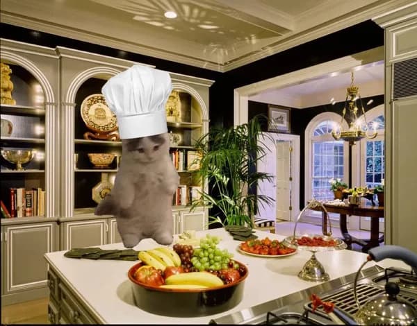 chef cook food