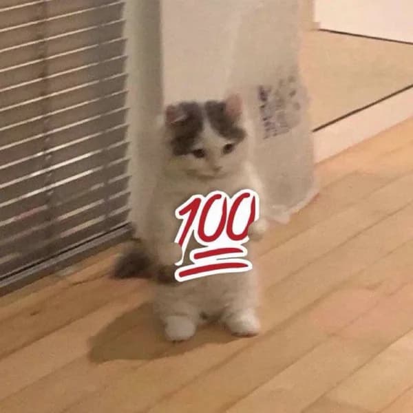 100 perfect right correct