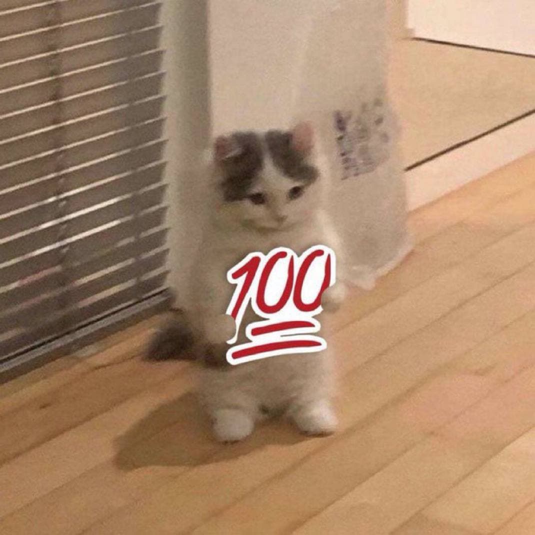 100 perfect right correct