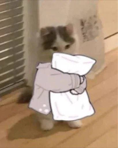 pillow gnichi sleep comfy