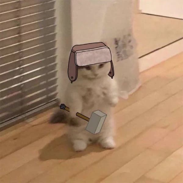 hammer hat cute