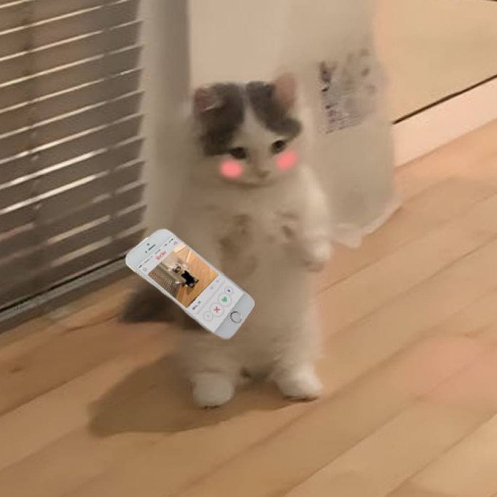 tinder date dating love