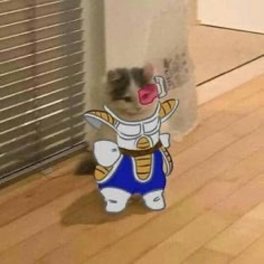 dbz dragonball vegeta