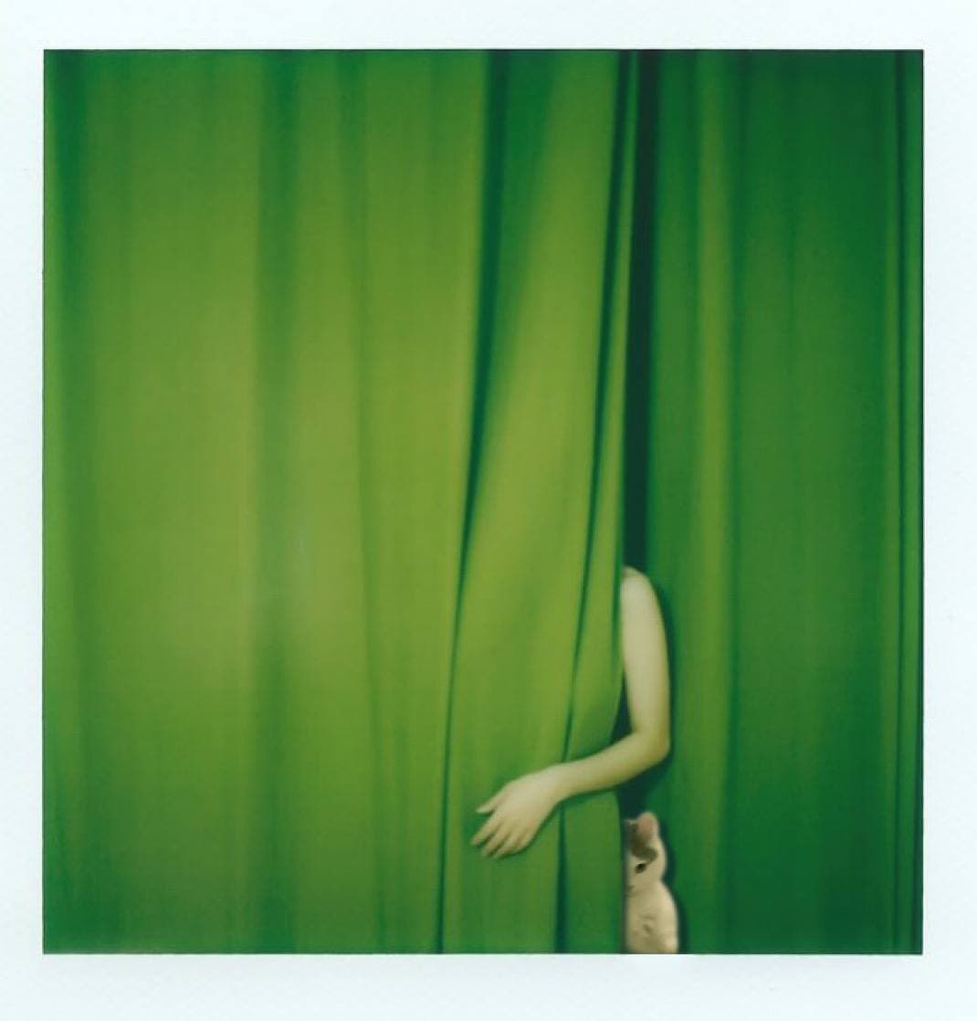 curtain shy hide hiding