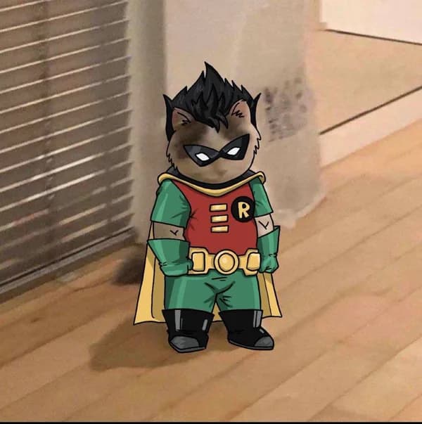 comic robin