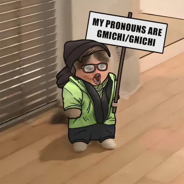 pronoun woke