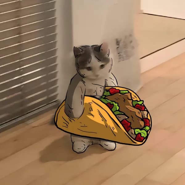 taco food