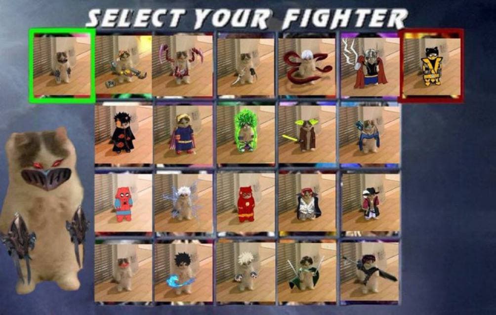 mortal combat video game character select fighter choose