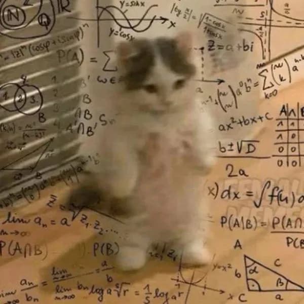 wtf what think thinking math
