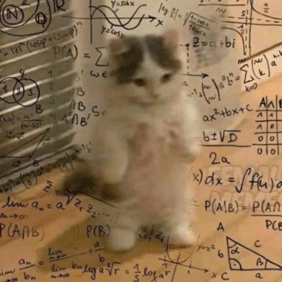 wtf what think thinking math