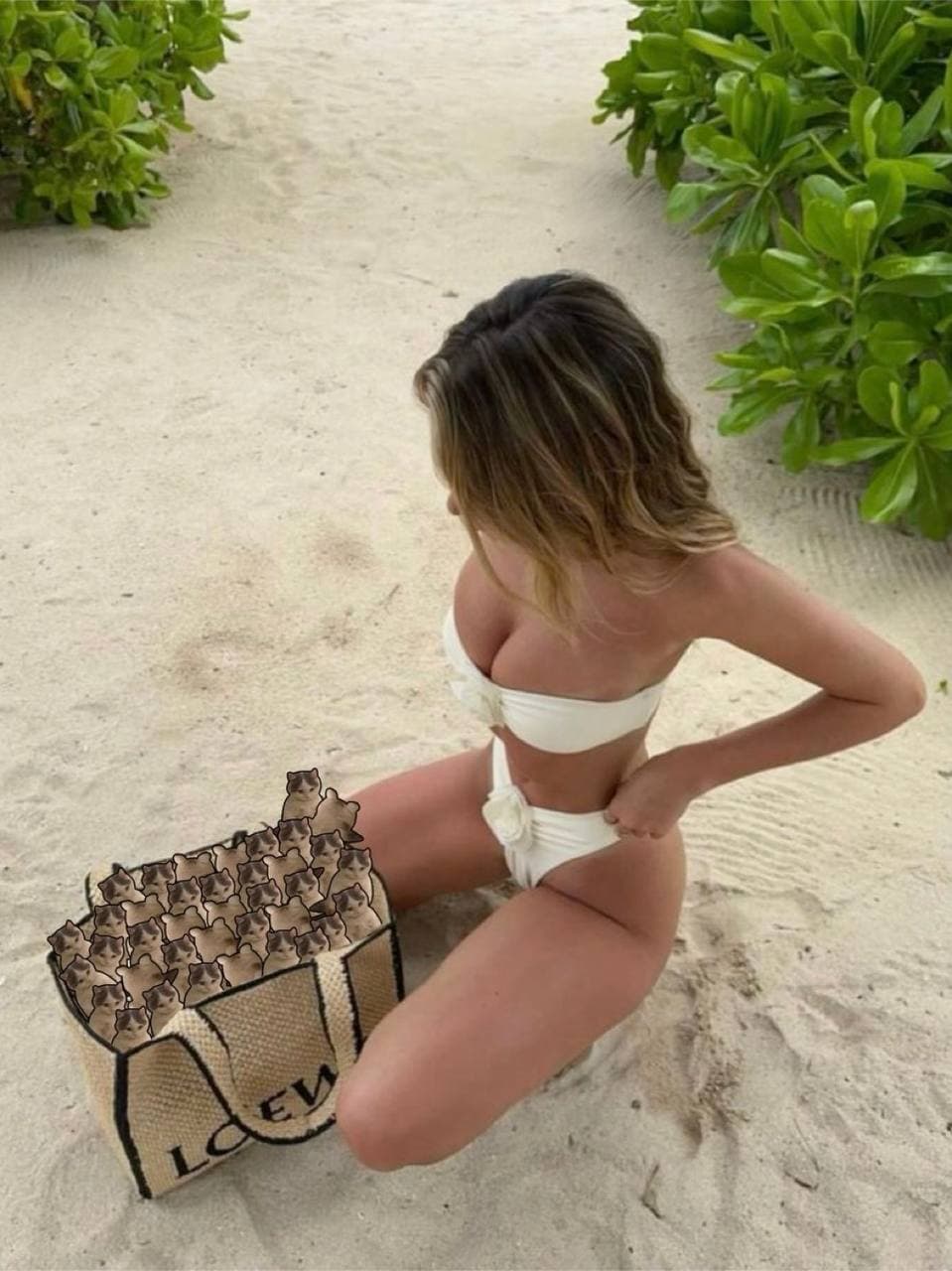 gyatt boobs girl bag bikini beach sexy hot brunette tits