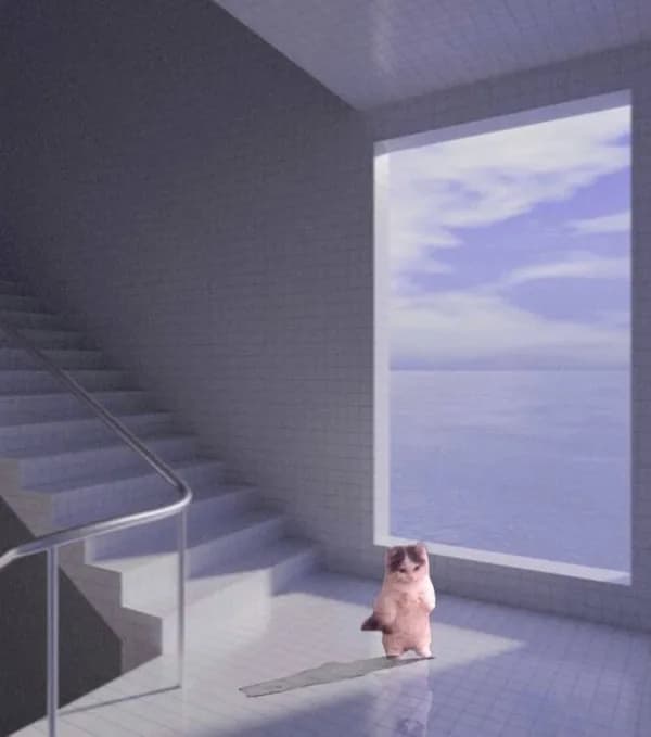 stair window stairs