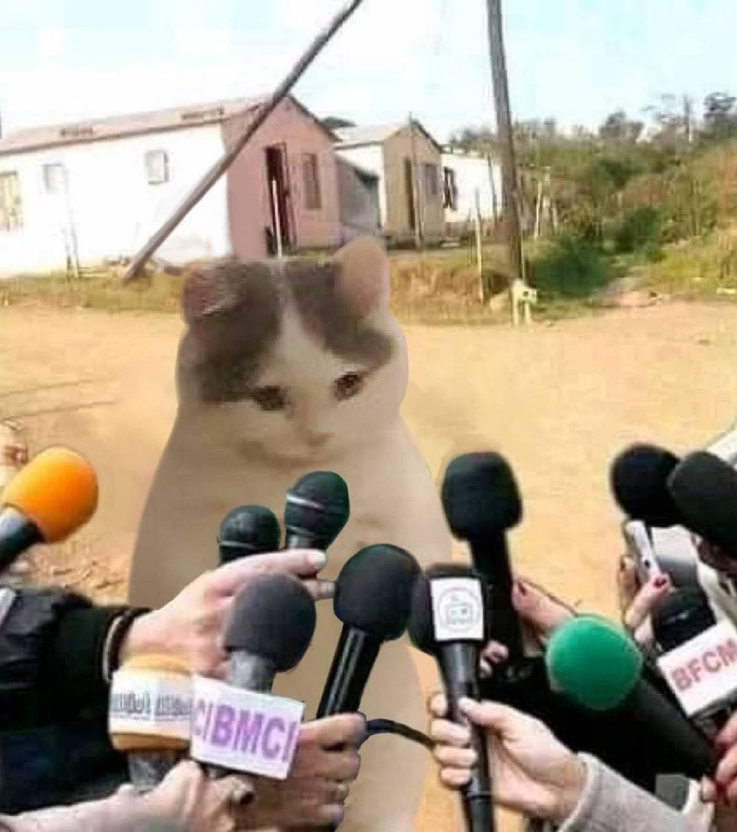 interview news answer questions reporter microphone