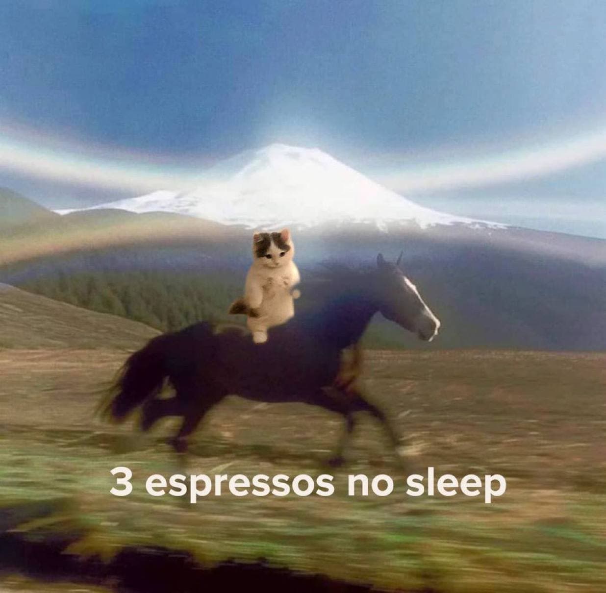 free 3 espressos no sleep