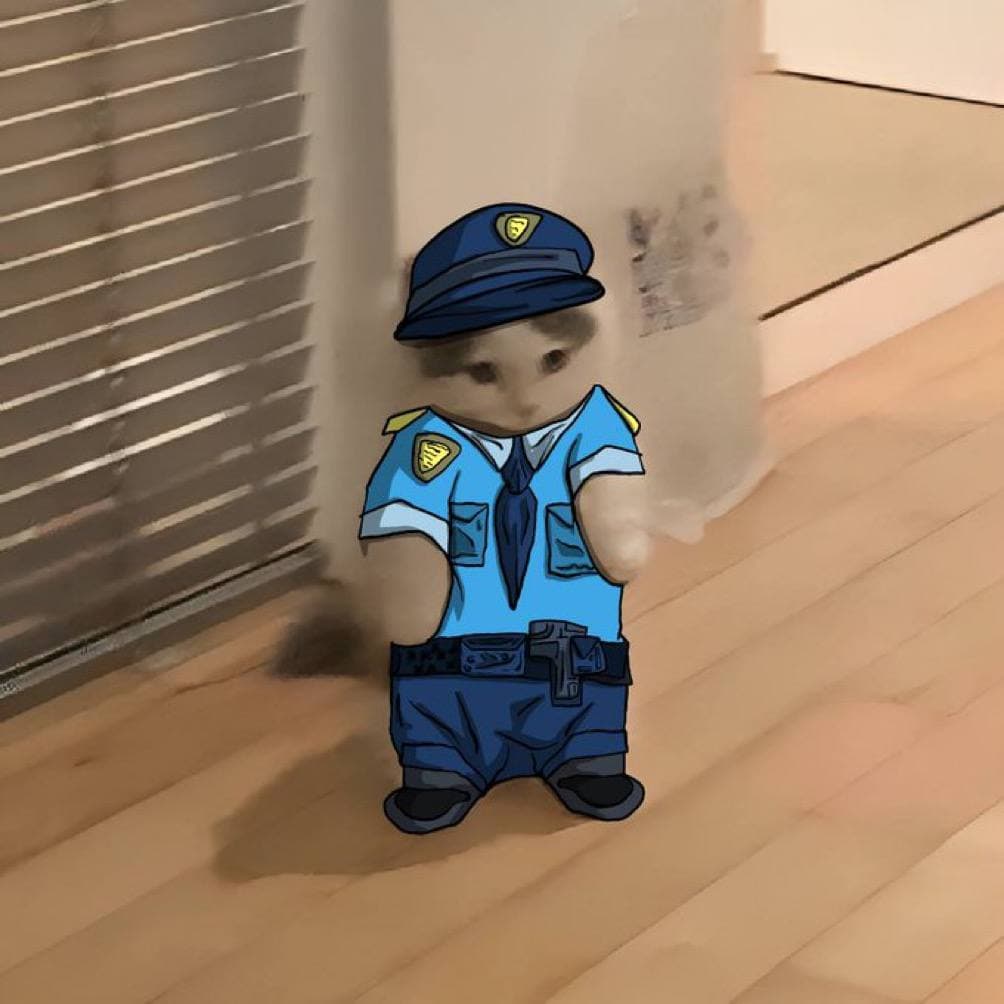 police cop