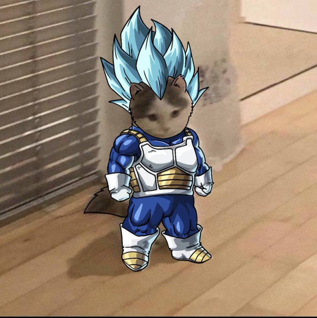 dragonball dbz super vegeta