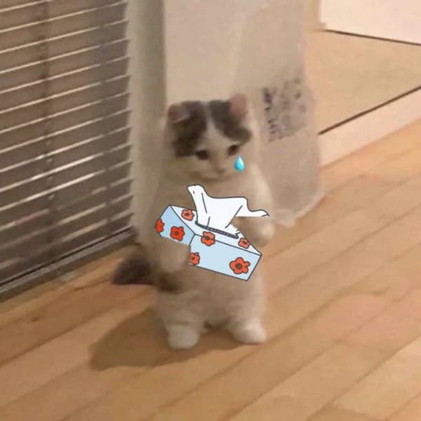tissue cry sad