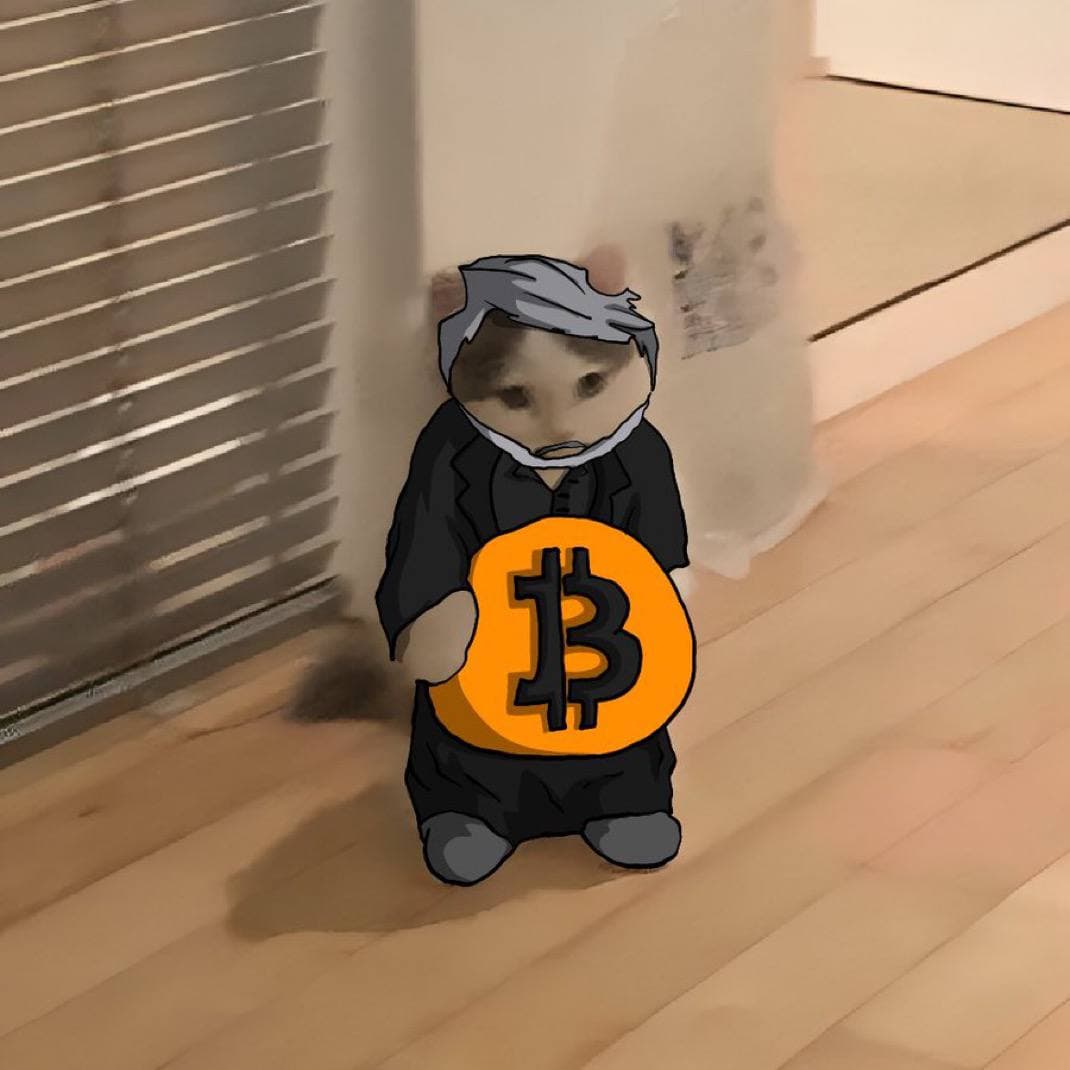 btc bitcoin michael saylor