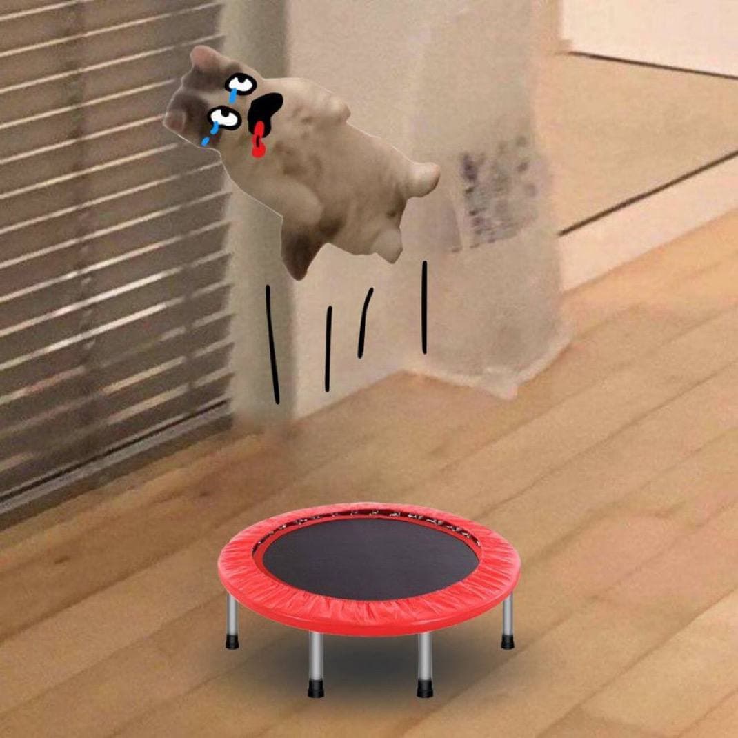 trampoline bounce tongue up