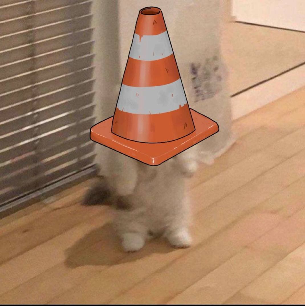 cone hide