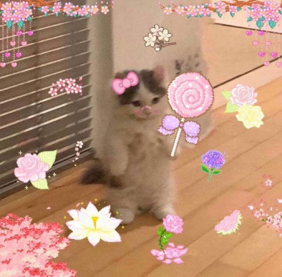 cute girly pink lollipop