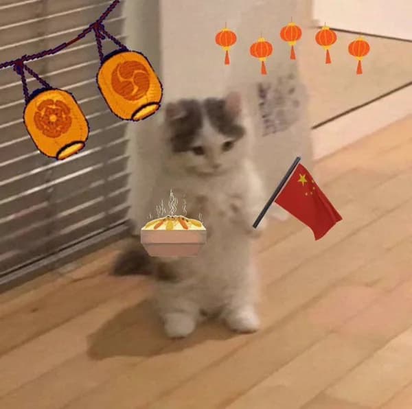 chinese asian flag