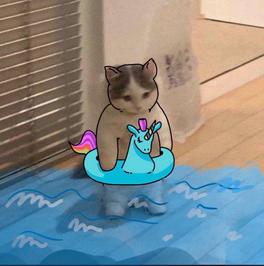 swim dip tube float water