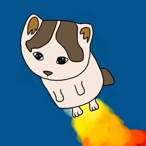 rocket fly