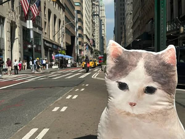 irl nyc michi new york