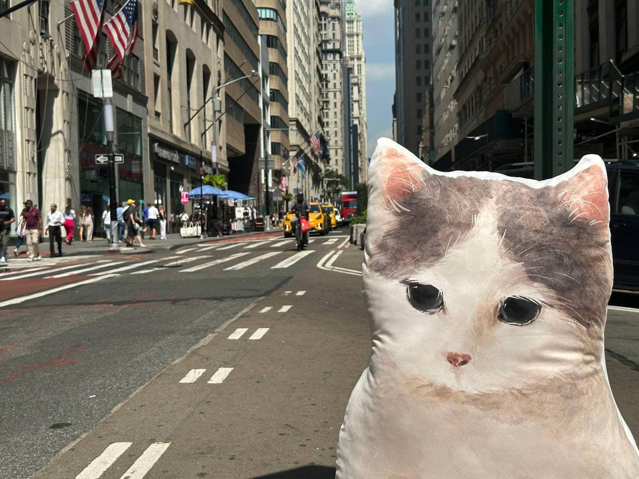 irl nyc michi new york