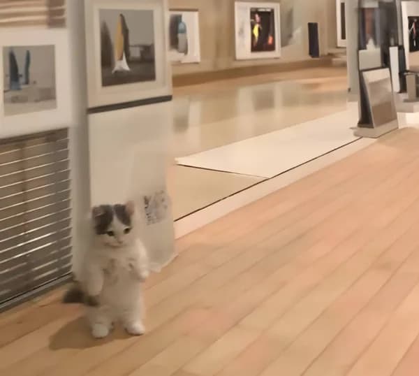 art museum gallery