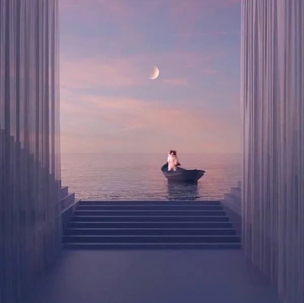 aesthetic moon vibe mood night gnichi