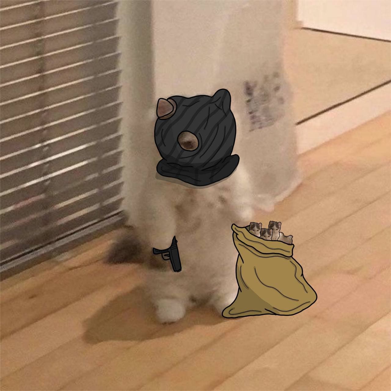 rob robbery burgler bag gun mask