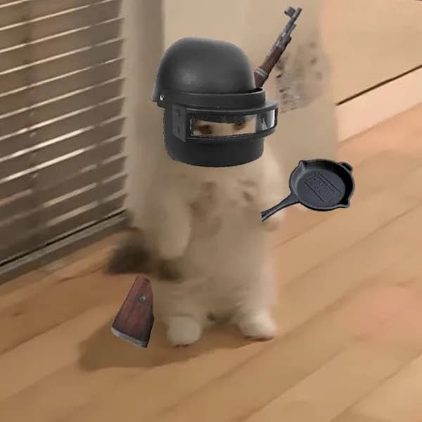 pubg