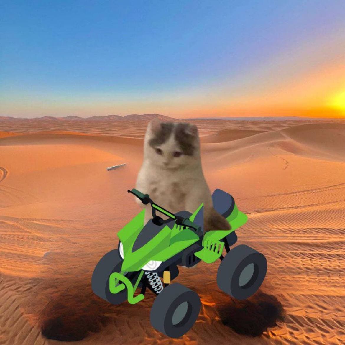 sand desert apv atv scooter