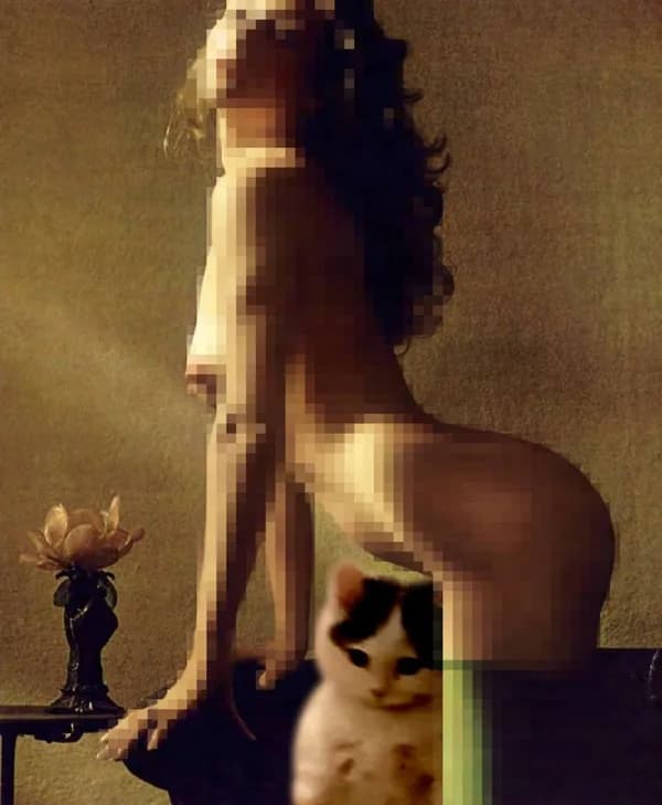 girl nsfw mosaic boobs ass sexy brunette gyatt tits