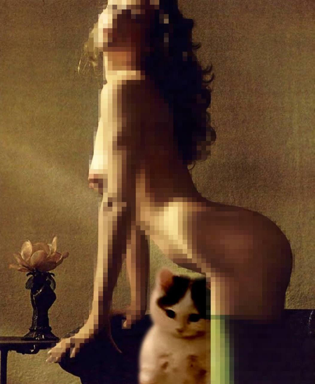 girl nsfw mosaic boobs ass sexy brunette gyatt tits