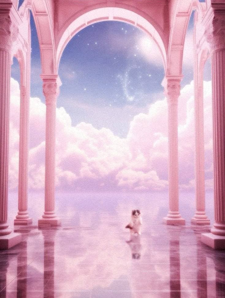 pink heaven hall girly