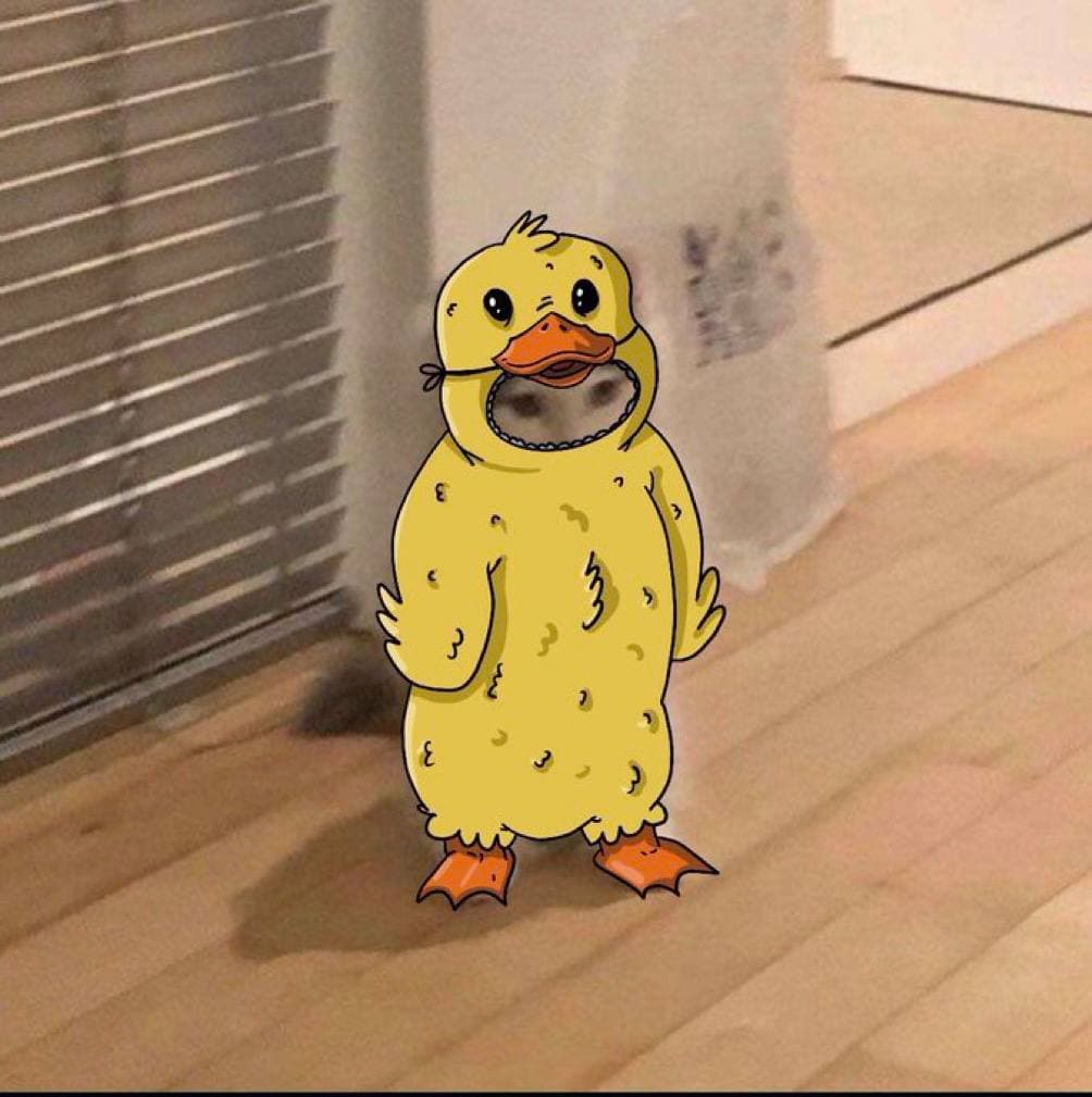 duck
