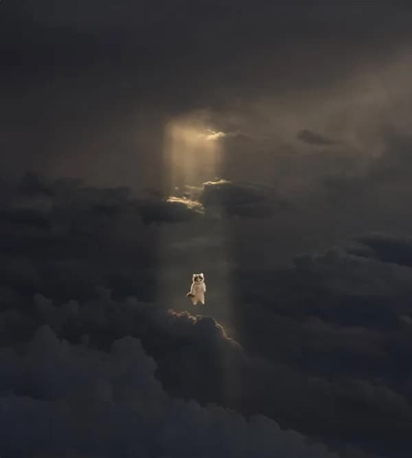 sky rise light ascend up heaven