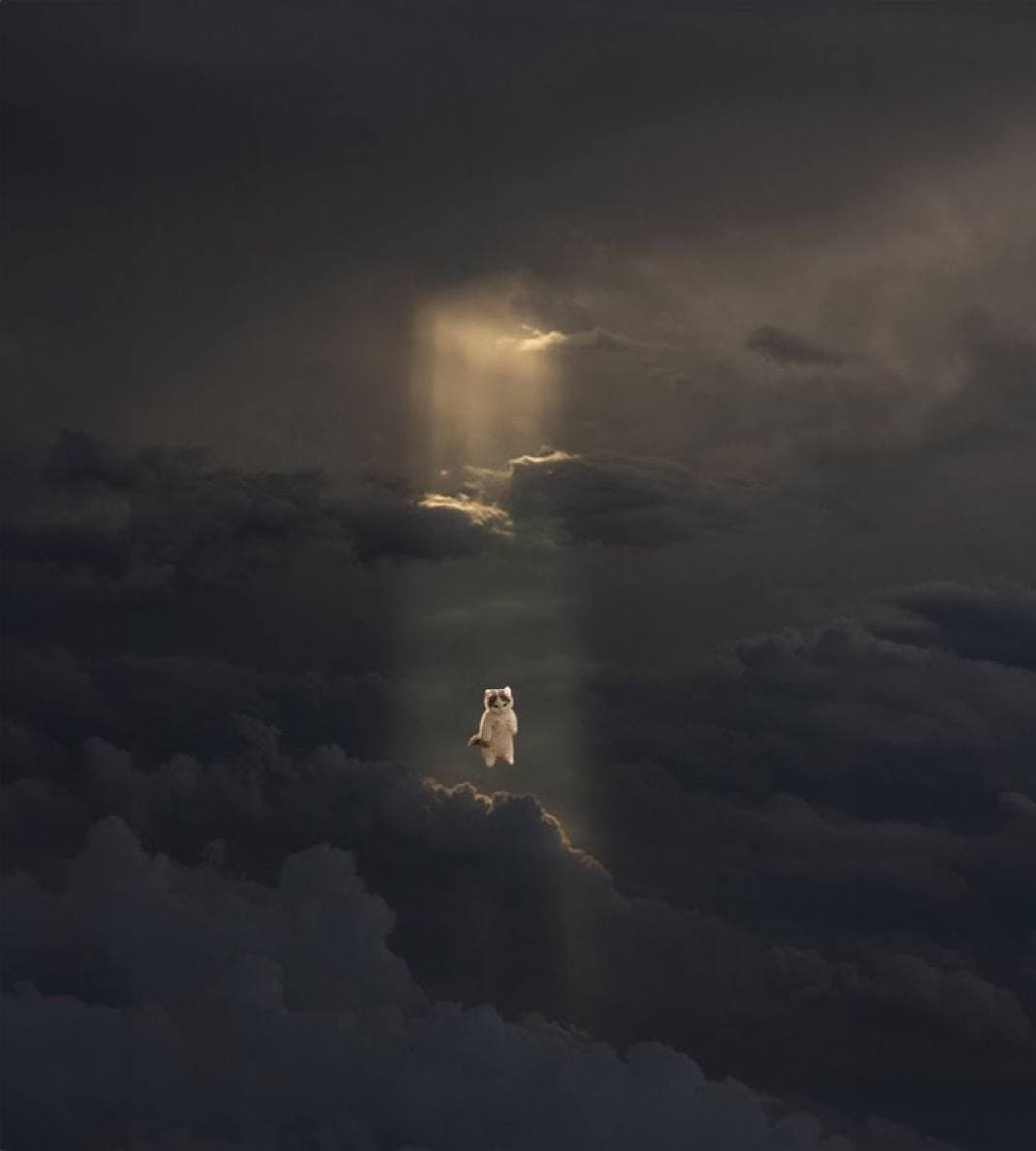 sky rise light ascend up heaven