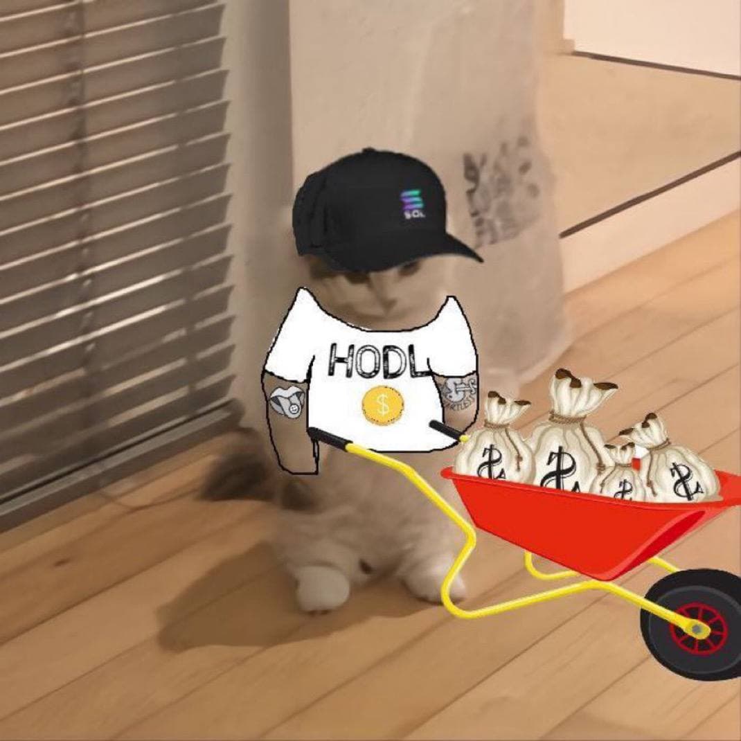 hodl