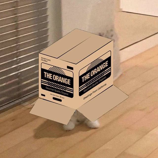box