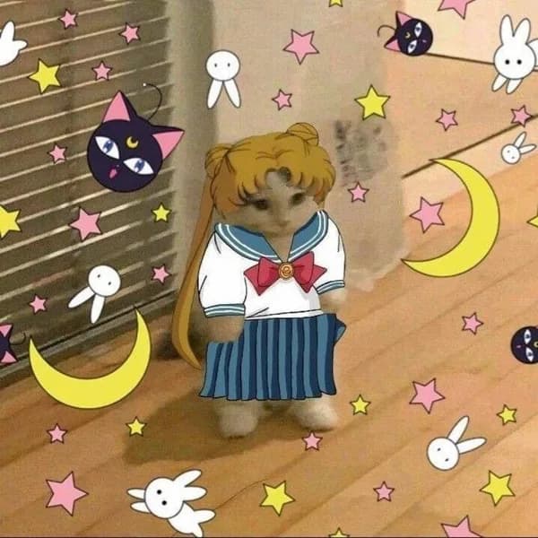 sailor moon