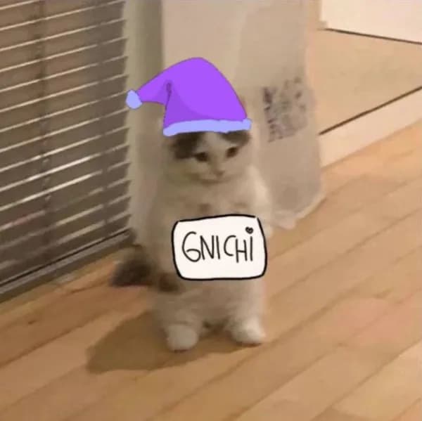 gnichi bed sleep