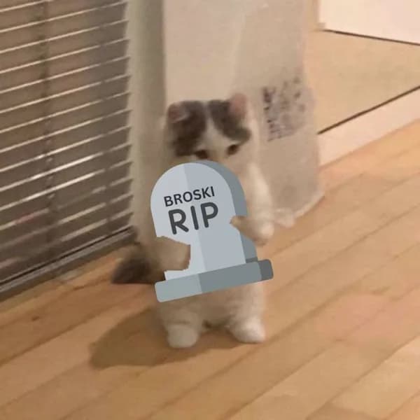 rip broski
