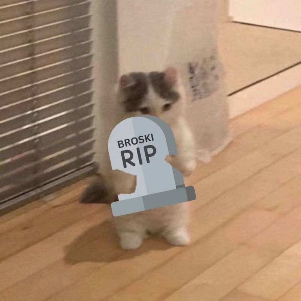 rip broski