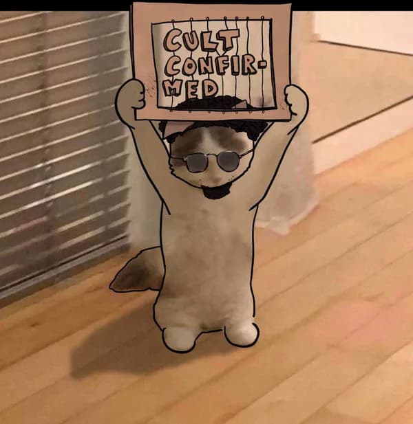 cult gang group